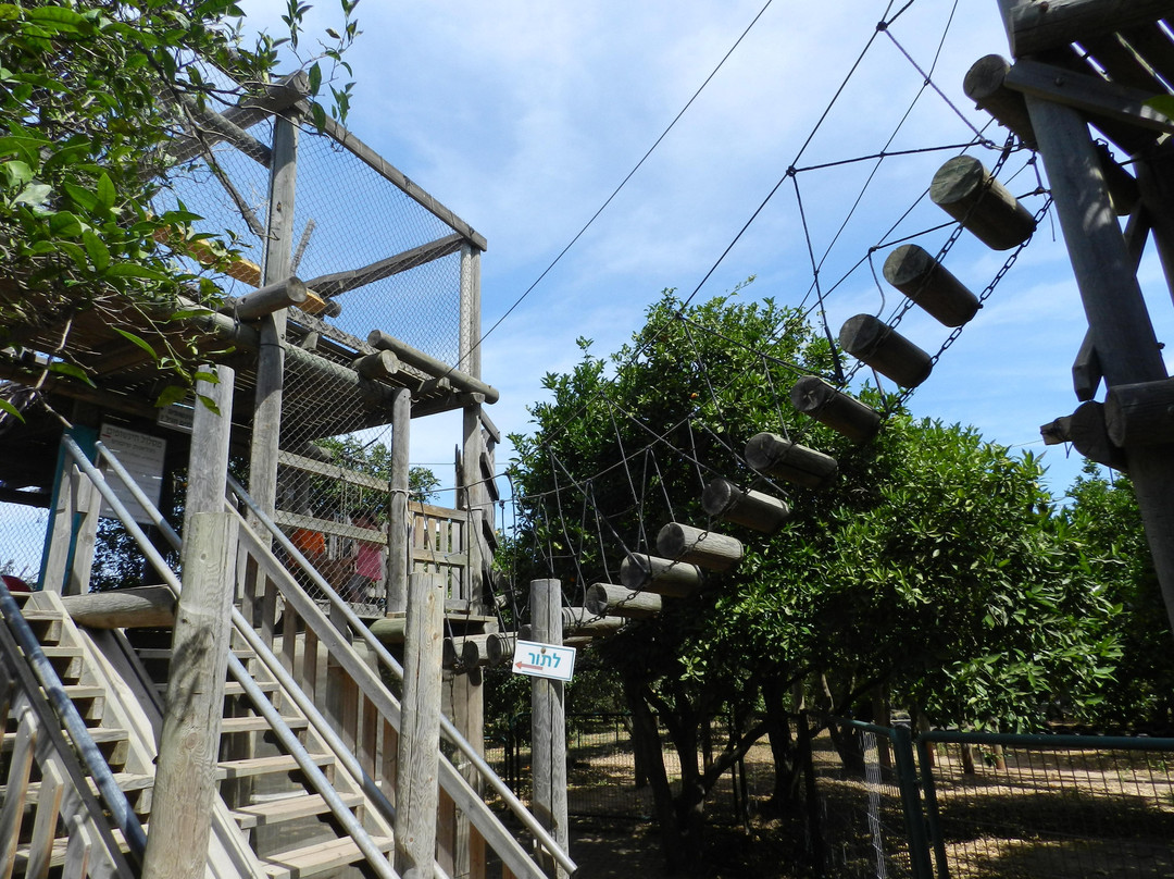 Shvil HaTapuzim-Hadera必去景点