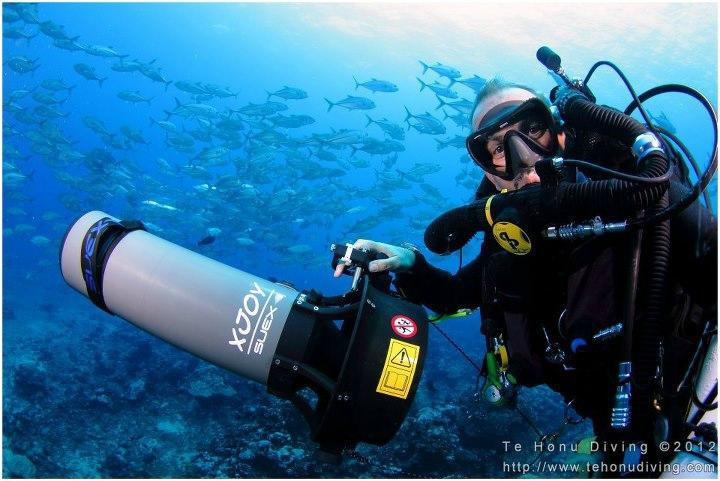 Te Honu Diving景点图片
