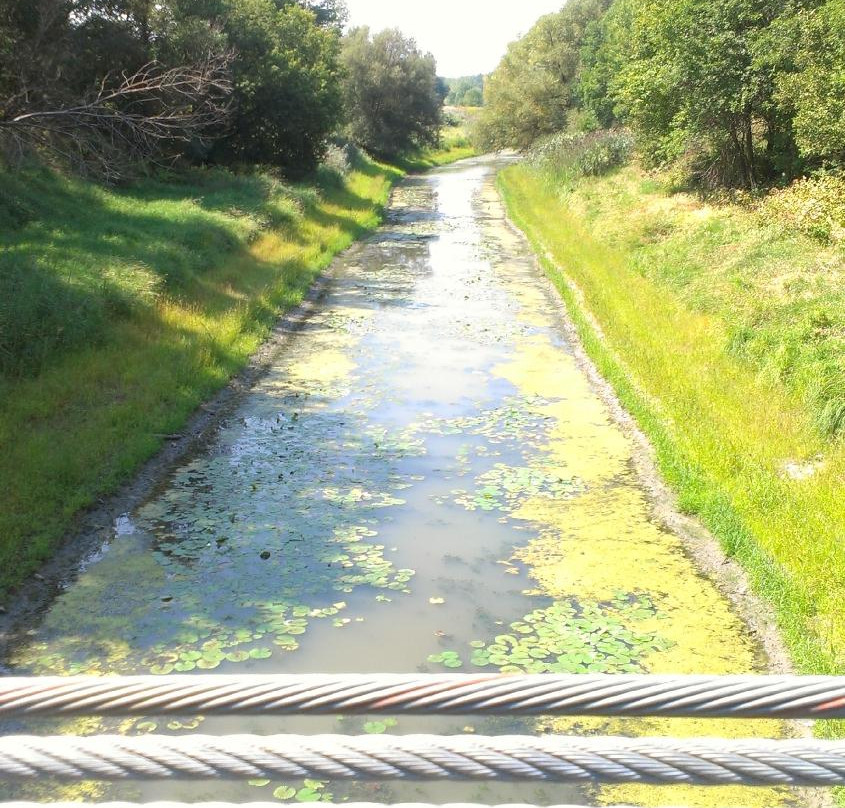 Parc Des Iles de Boucherville-Boucherville必去景点