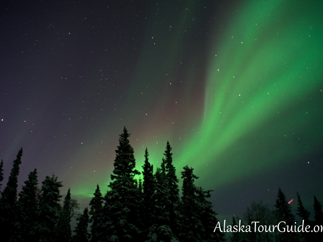 Arctic Night Tours