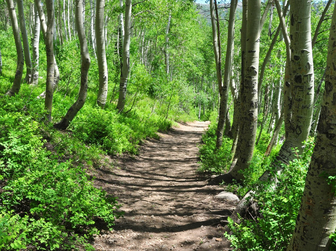 大三叶杨峡谷-盐湖城必去景点