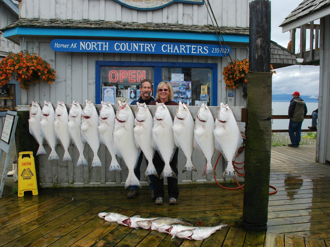 North Country Charters-荷马必去景点