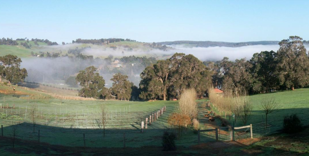 Oakfield Country House主图