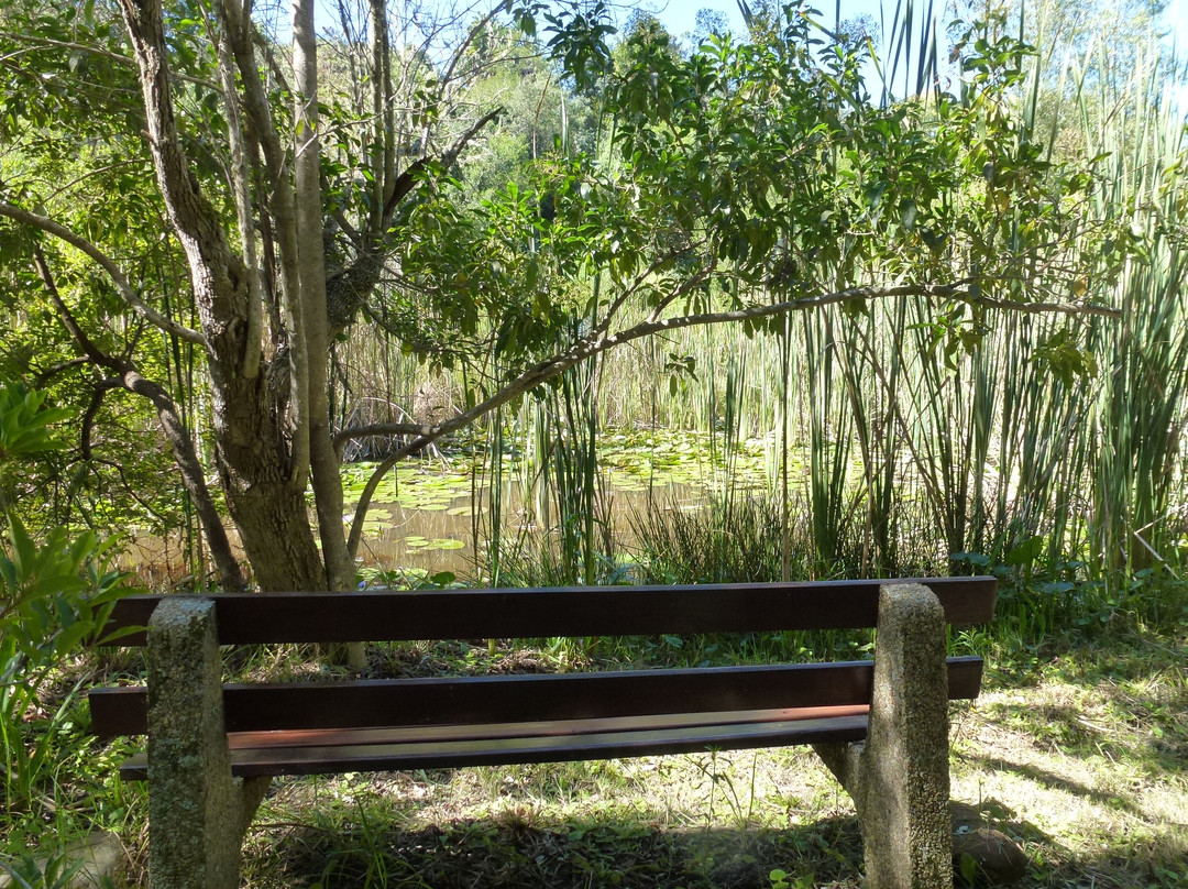 Pledge Nature Reserve-克尼斯纳必去景点