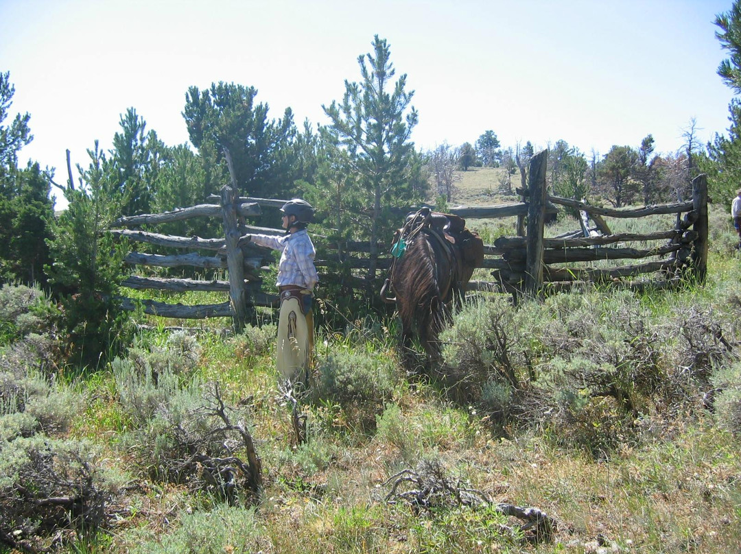 Outlaw Trail Ride-瑟莫波利斯必去景点