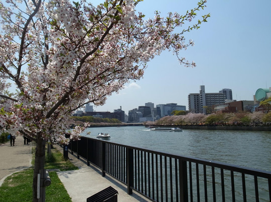 毛马樱之宫公园-大阪市必去景点