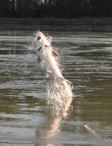 Len's Sportfishing Adventures-奇利瓦克必去景点