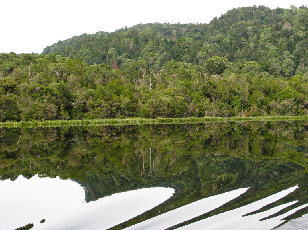 Gordon River Cruises-斯特拉恩必去景点