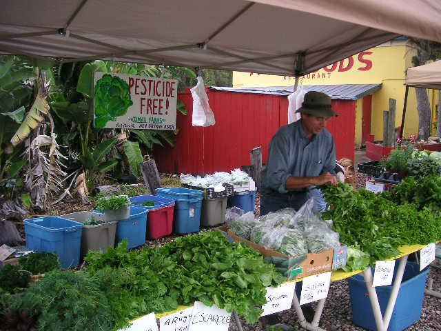 New Smyrna Beach Farmers Market景点图片