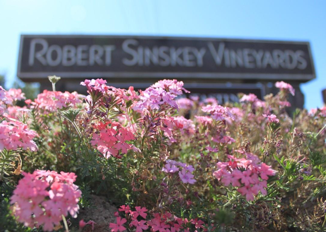 Robert Sinskey Vineyards-纳帕必去景点
