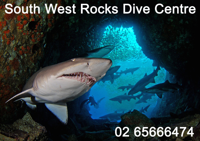 South West Rocks Dive Centre景点图片