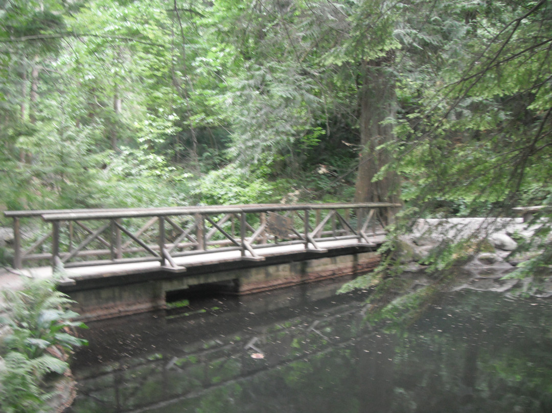 卡皮拉诺吊桥及公园-北温哥华必去景点