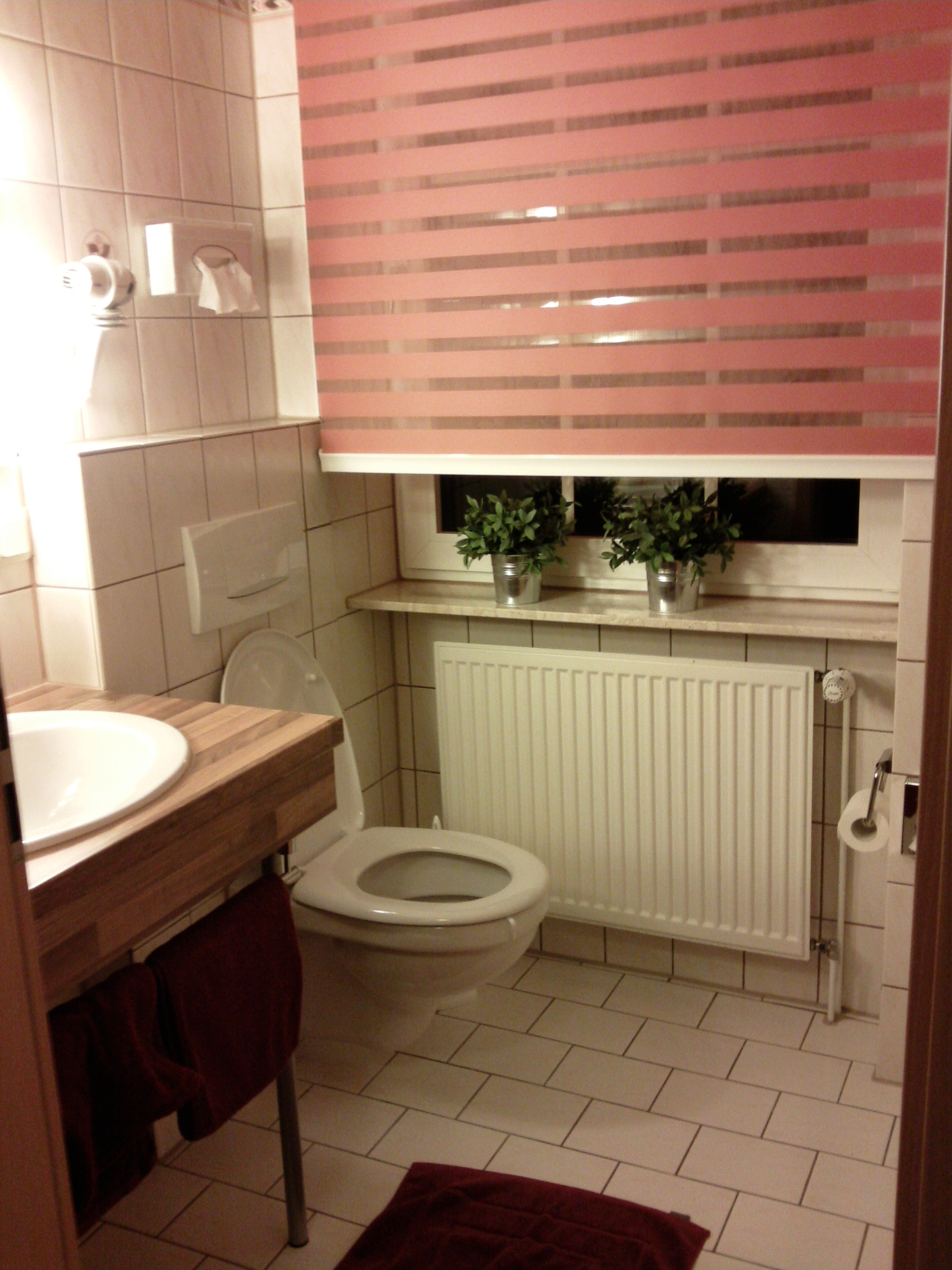 祖尔林德酒店-客卧