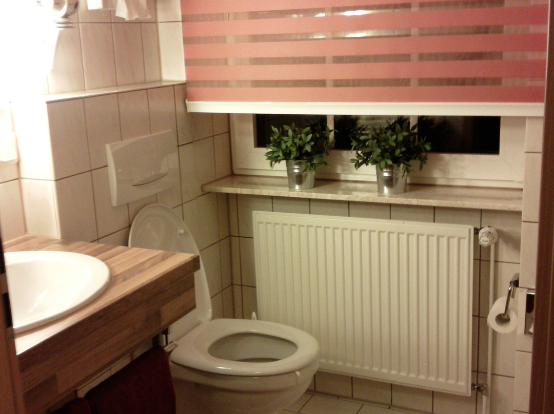 Hotel zur Linde主图