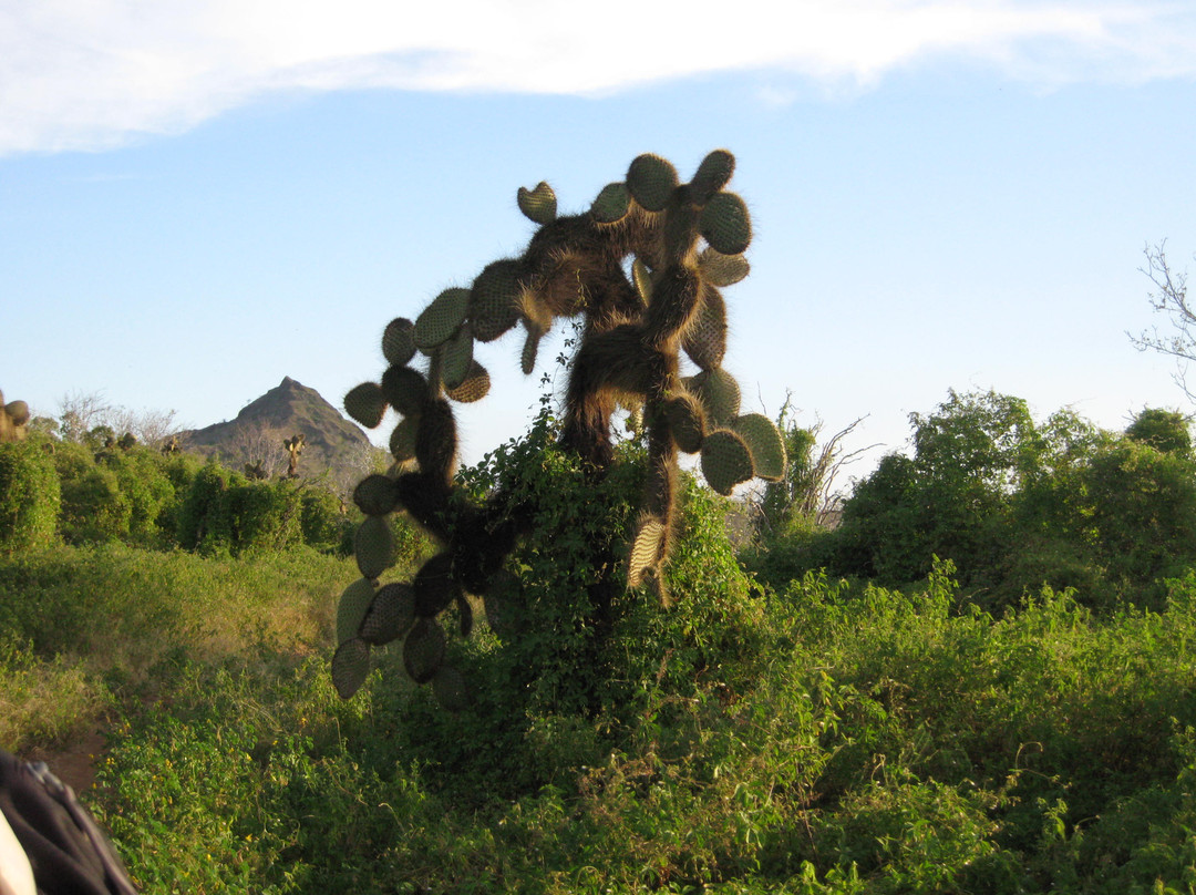 Dragon Hill (Cerro Dragon)景点图片