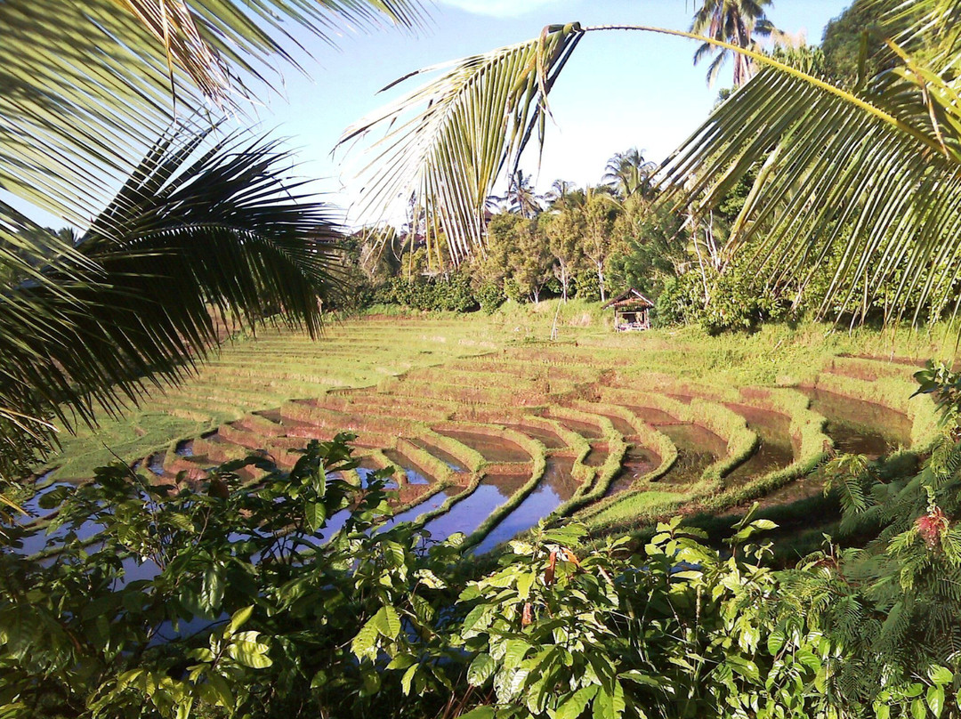 The Bali Driver & Tour Guide-登巴萨必去景点