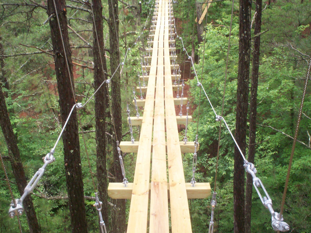 Ocoee River Basin Canopy Tour-Ducktown必去景点