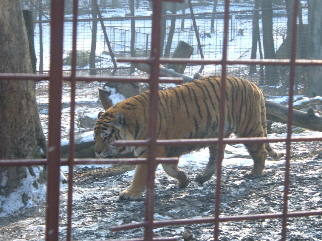 Miskolc Zoo and Culture Park景点图片