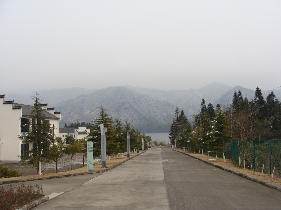 黄山奇墅仙境中坤国际大酒店主图