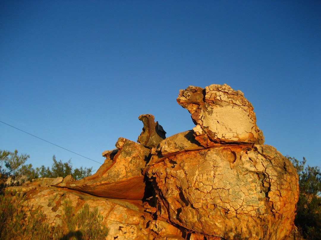 Breede River DC旅游攻略图片