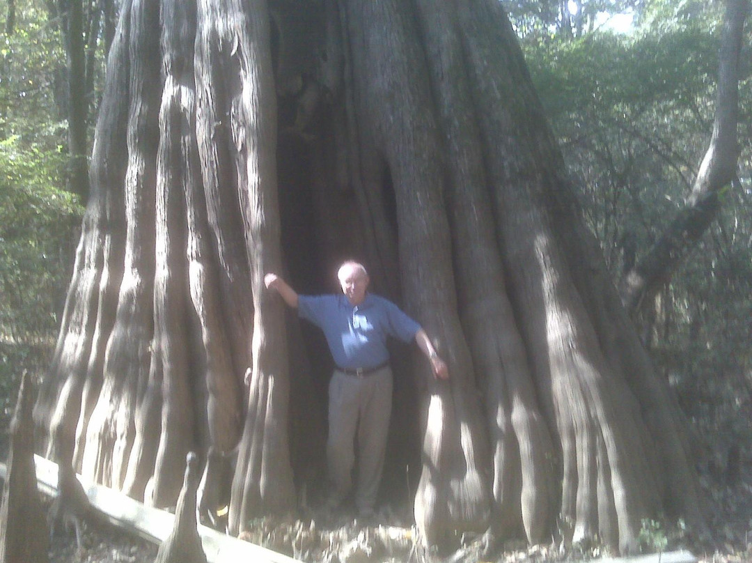 Mississippi Delta-Belzoni必去景点