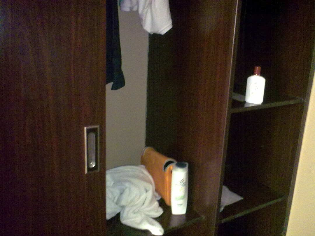 中仁大酒店主图