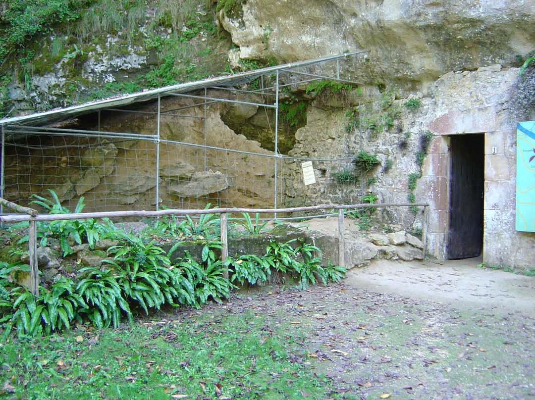 Préhistorical site of Castel-Merle景点图片