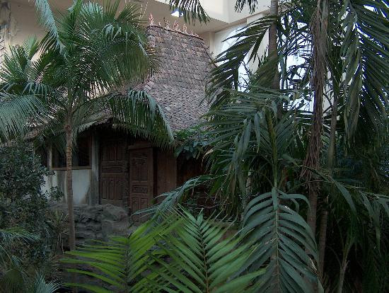 Bird Kingdom-尼亚加拉大瀑布必去景点