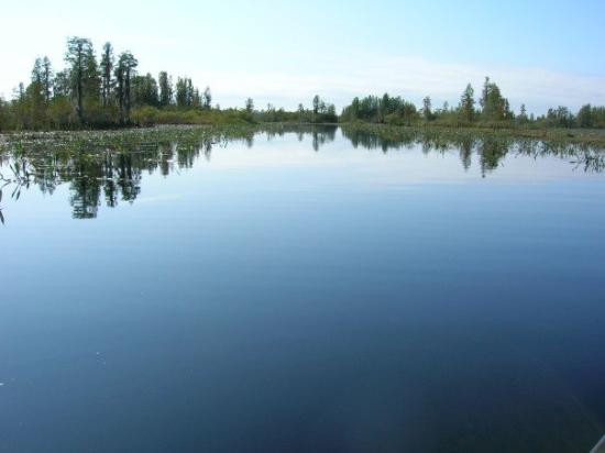 Okefenokee Swamp Park-Waycross必去景点
