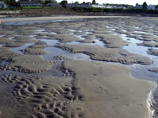 Ogunquit Beach景点图片