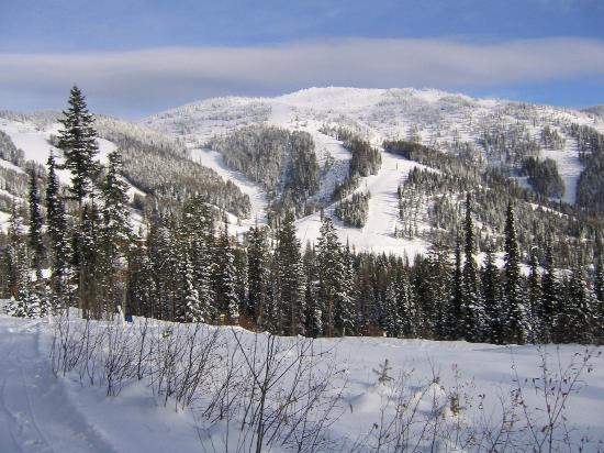 Whitefish Mountain Resort景点图片