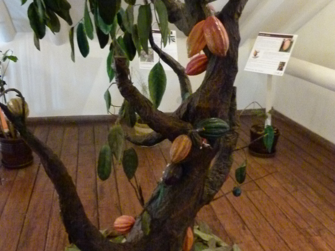 格拉纳达-库斯科必去景点