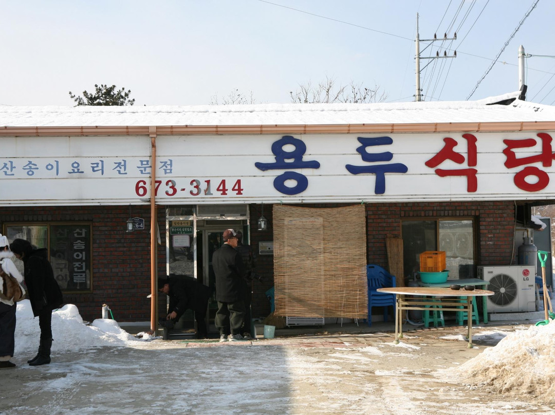 奉化郡餐馆和美食-Yongdu Sikdang