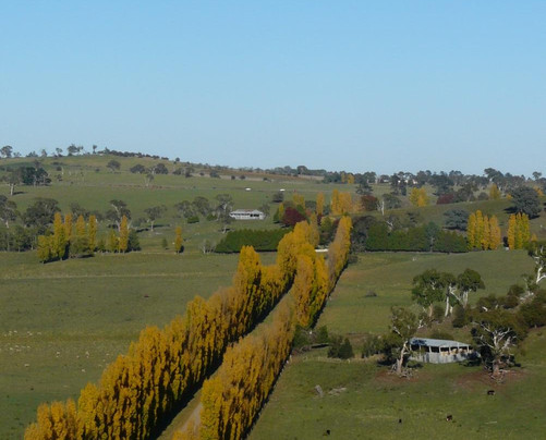 Canobolas酒店住宿-Godolphin Country Accommodation