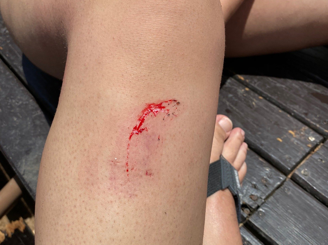 Palmas Hotel & Spa主图