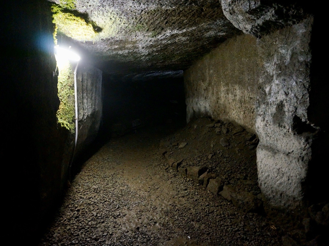 Muroiwa Cave景点图片