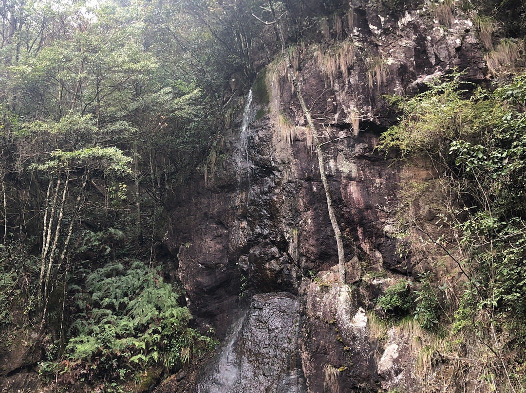 衢州药王山景点图片