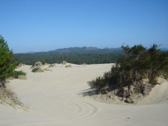 沙地冒险-弗洛伦斯必去景点