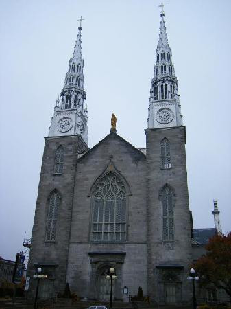 Notre Dame Cathedral Basilica景点图片