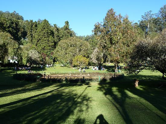 Government Botanical Garden景点图片