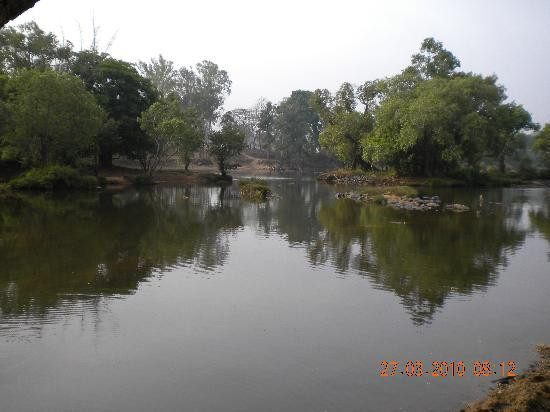 Dubare Elephant Camp景点图片