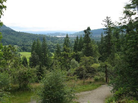 Benmore Botanic Garden景点图片