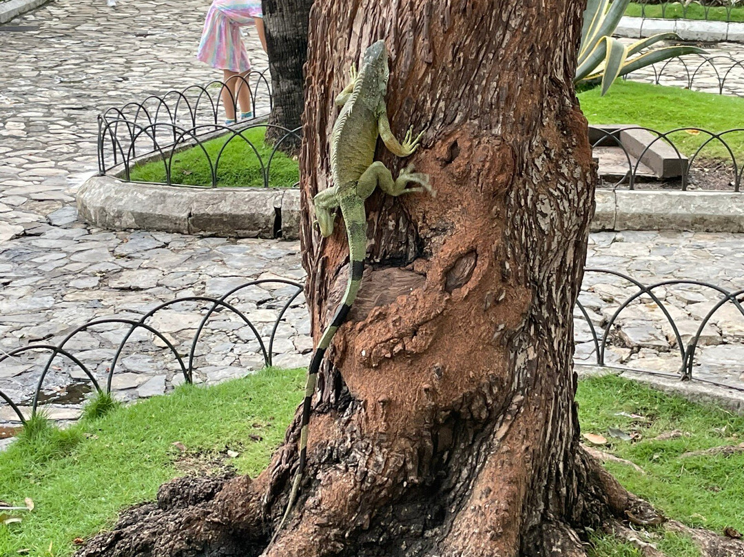 Tours Around Quito景点图片