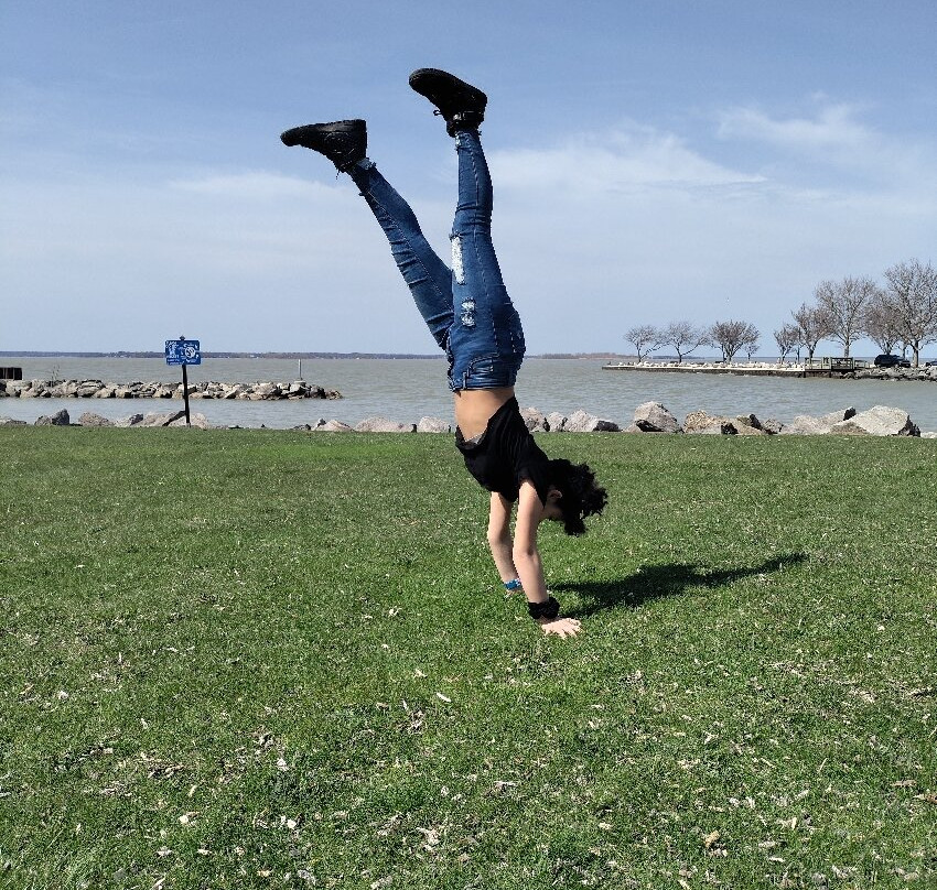 Shoreline Park-桑达斯基必去景点