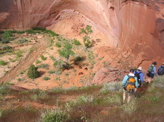 Escalante Canyon Outfitters-Boulder必去景点