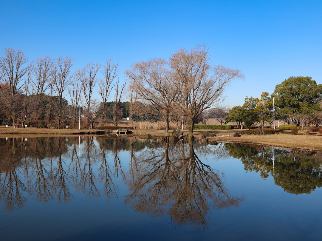 Kinu Park-常总市必去景点