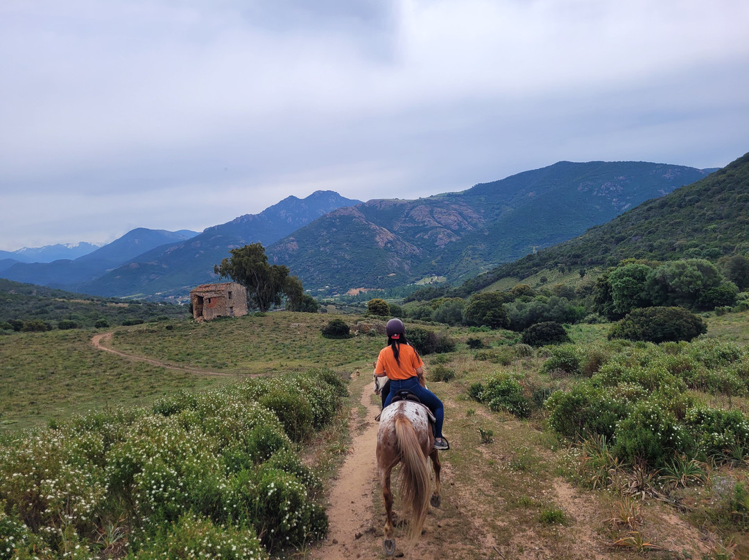 Ferme Equestre Le Ranch景点图片