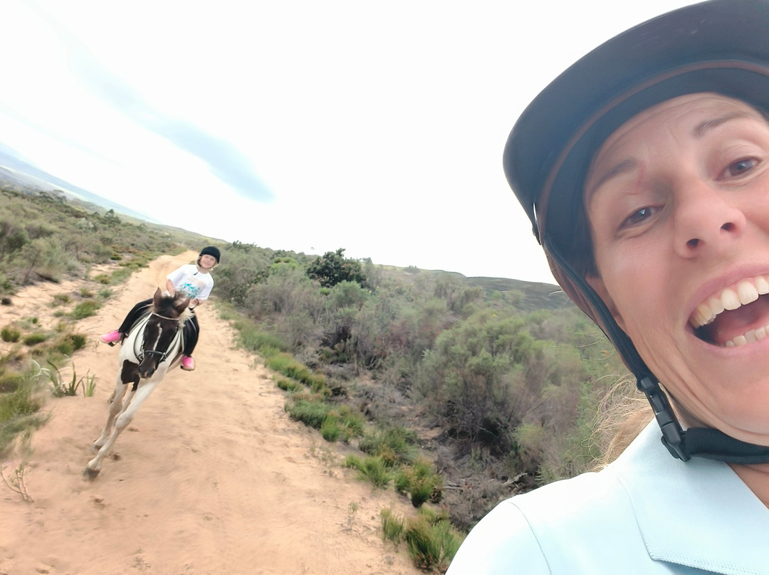 Honingklip Equestrian-Botrivier必去景点