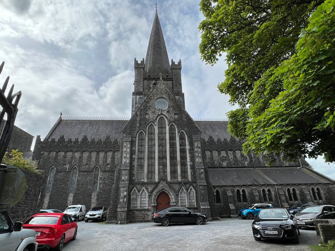 St. Mary's Church of Ireland Cathedral景点图片