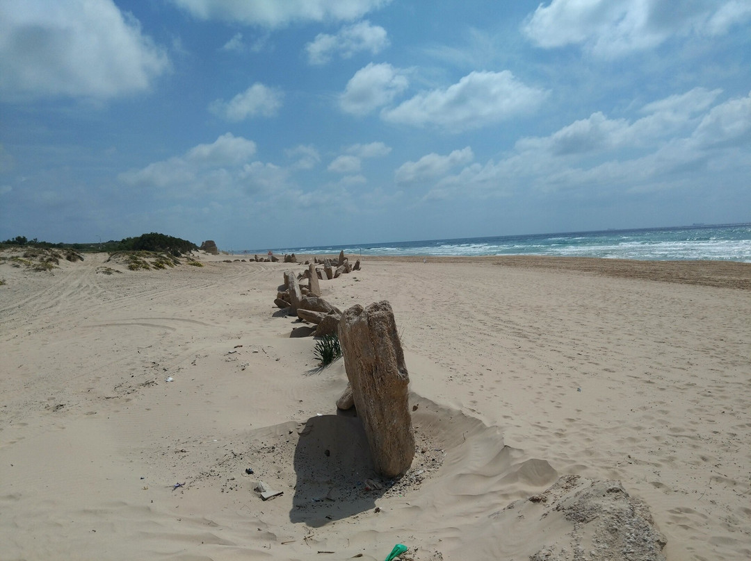 Metzuda Beach-阿什杜德必去景点
